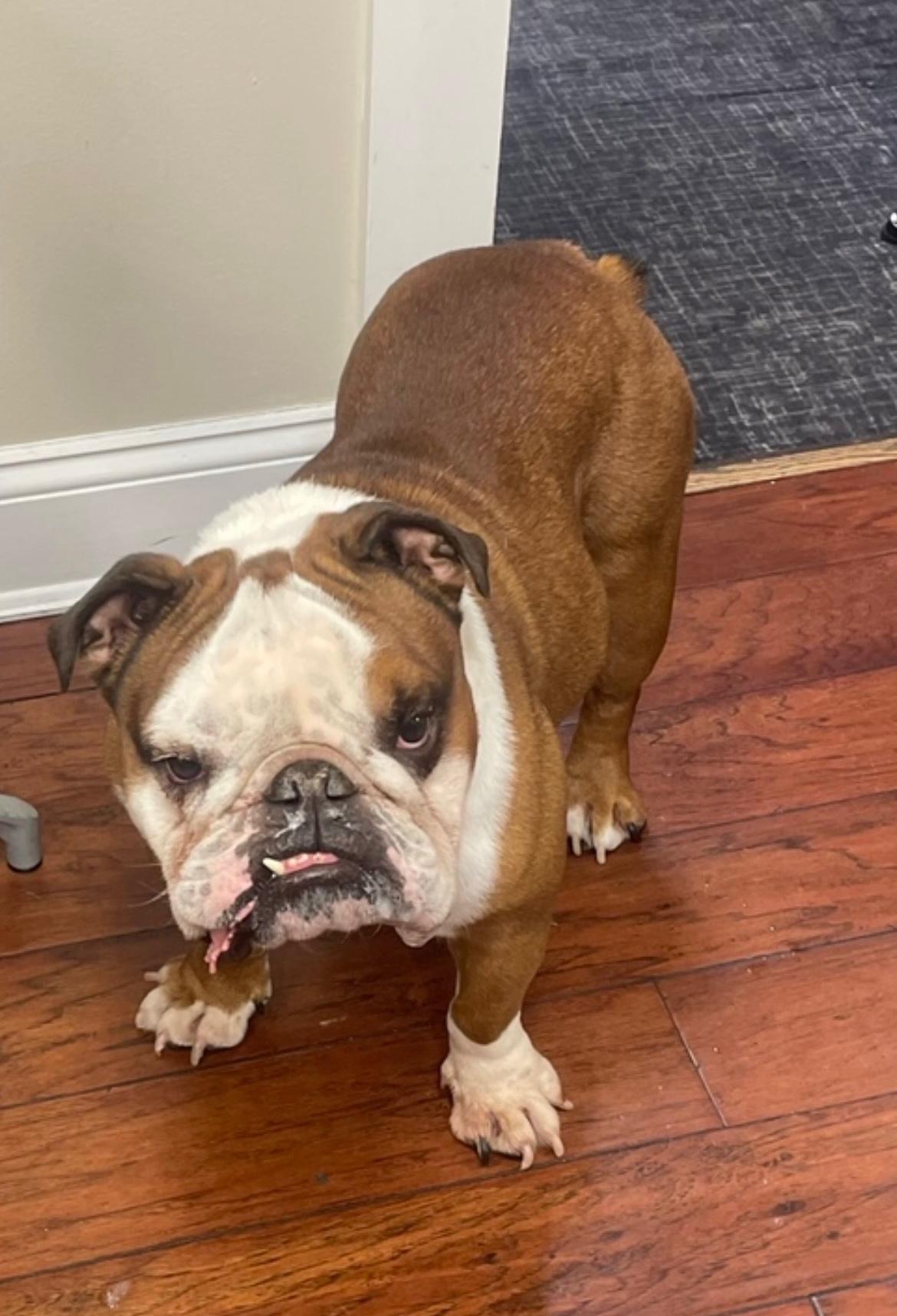 术过于保守 术过于保守