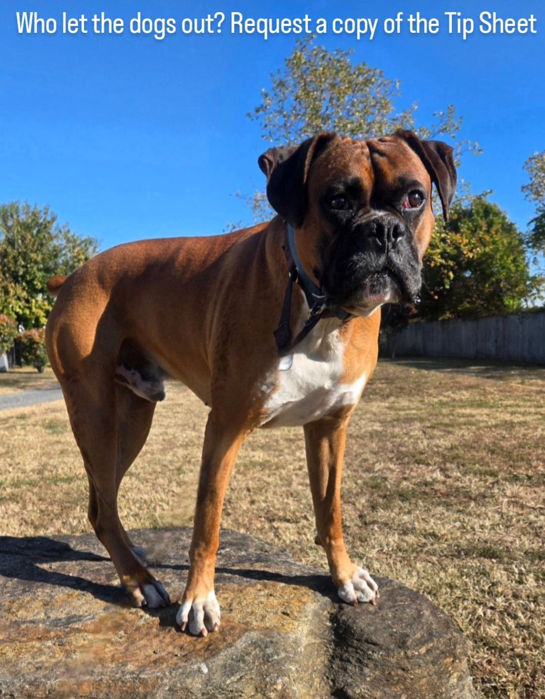 有关高准翼 有关高准翼