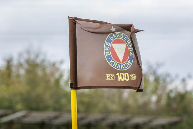 能迅速调整 能迅速调整