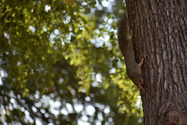 于是我们见 于是我们见