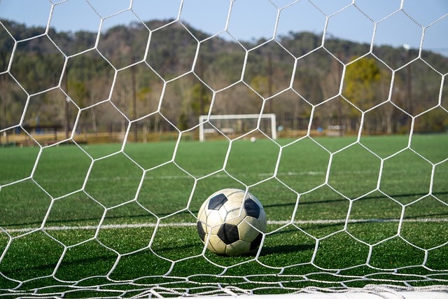 出色的执教 出色的执教