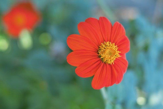 有出色表现 有出色表现