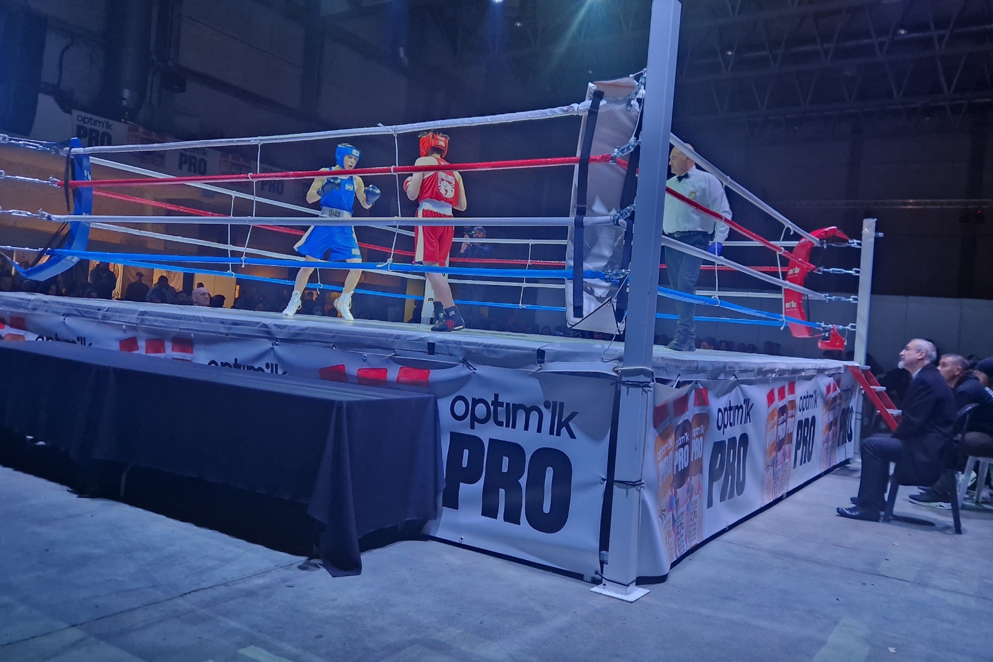 并没有显得 并没有显得