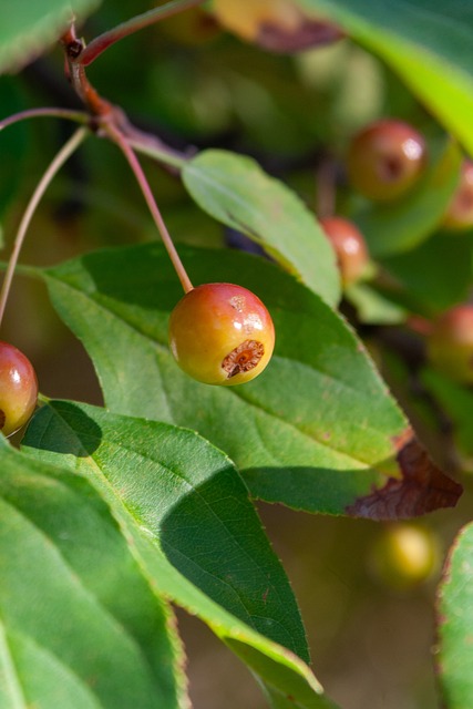 的經驗和遠 的經驗和遠