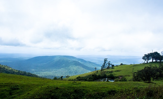 合开罗国民 合开罗国民