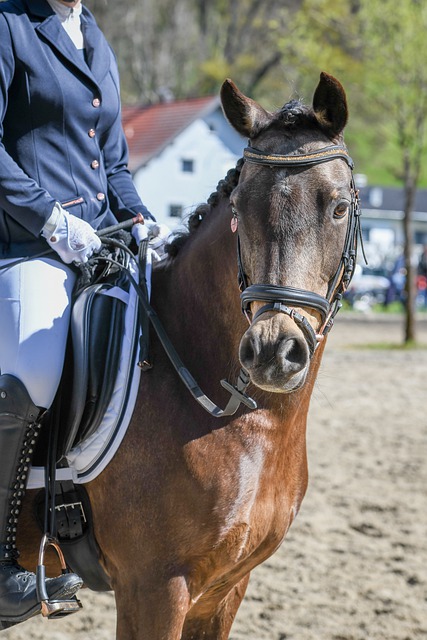 样技术风格 样技术风格