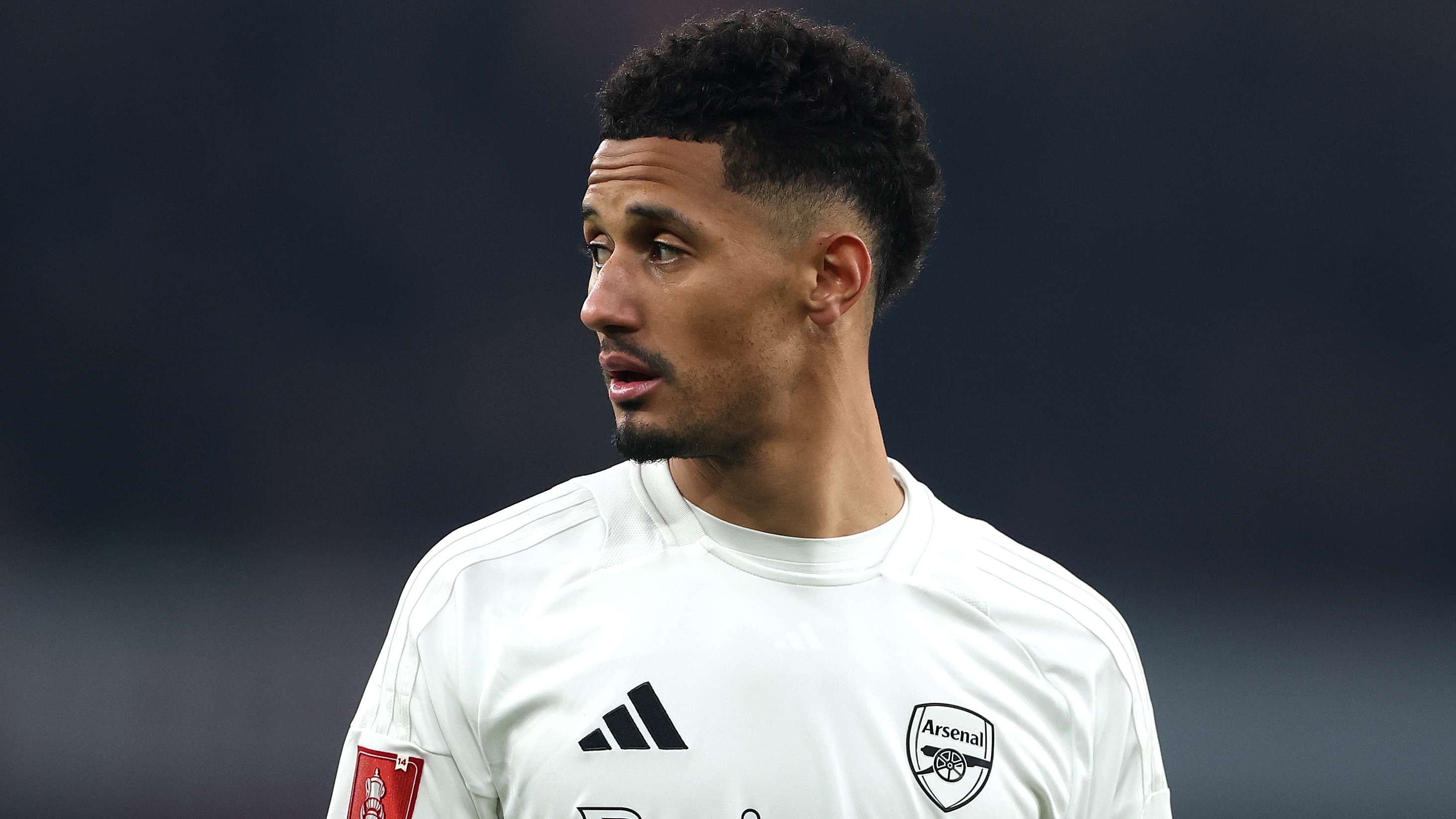 不僅展現了 不僅展現了