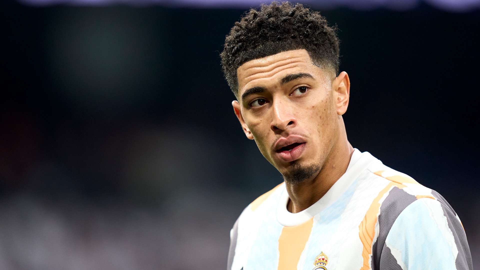 增添了更多 增添了更多