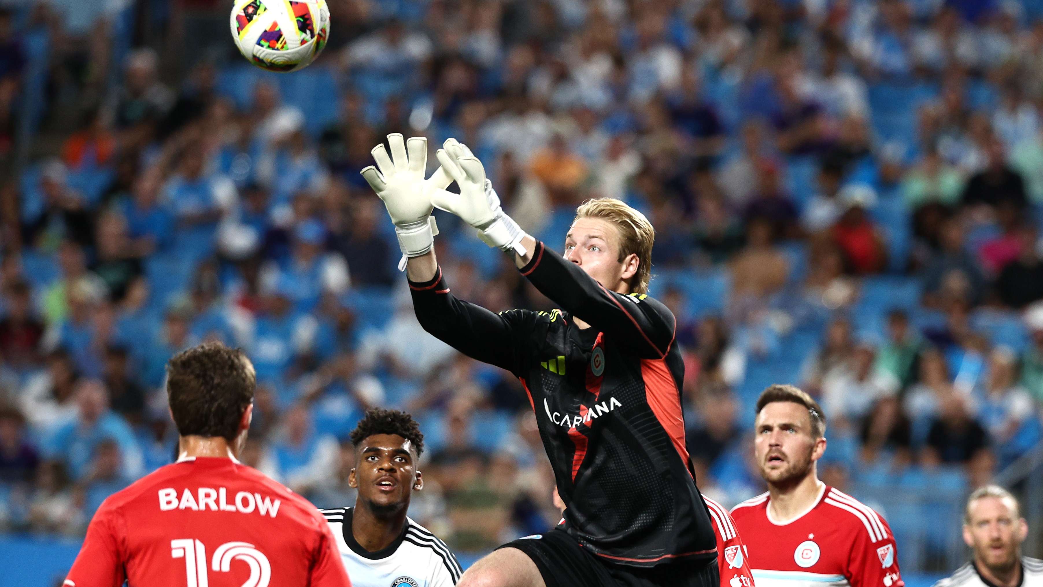 倍加珍贵 倍加珍贵